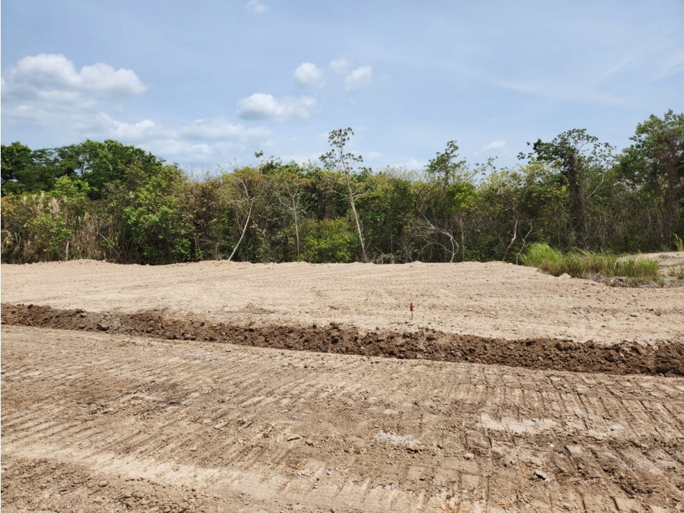 Se Venden Lotes Campestres desde 1,000 Mts usd$35,000,oo San Carlos — foto 4