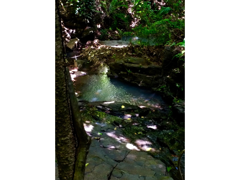 SE VENDE TERRENO EN SORA $5.00 M2 !!!!!!! - 4