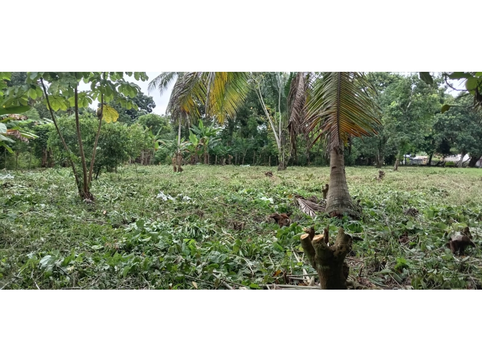 Venta de Terreno en Baru - 4