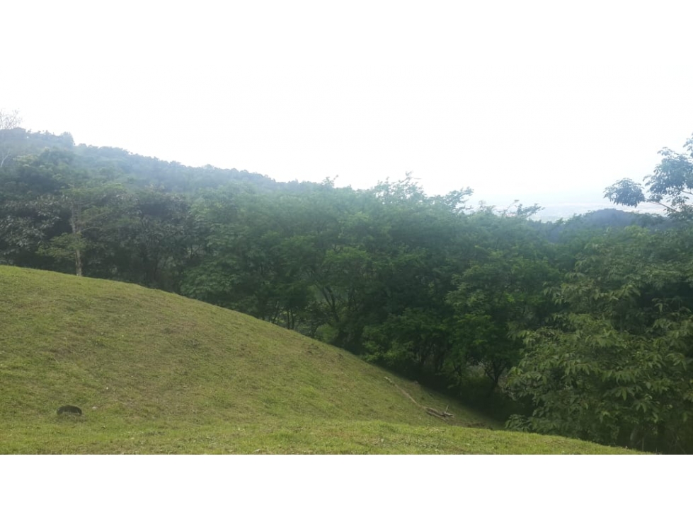 VENDO TERRENO CERRADO EN CERRO AZUL $126000!!!! — foto 4