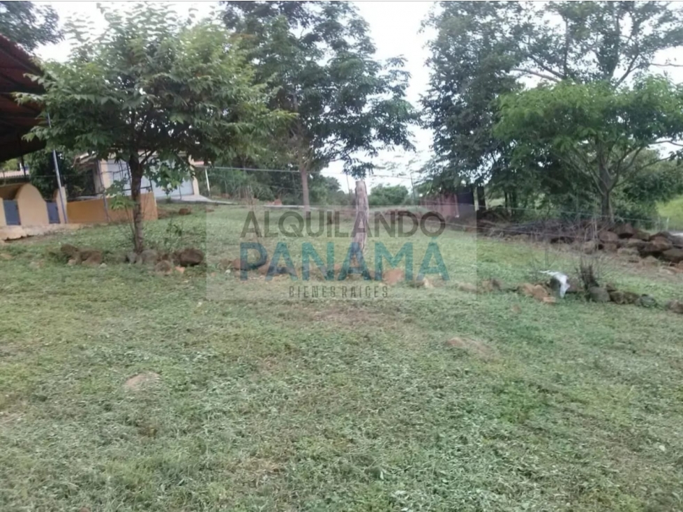 VENTA DE TERRENO EN CHAME — foto 3