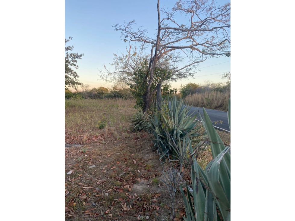 VENDO TERRENO EN COSTA ESPERALDA SAN CARLOS - 6