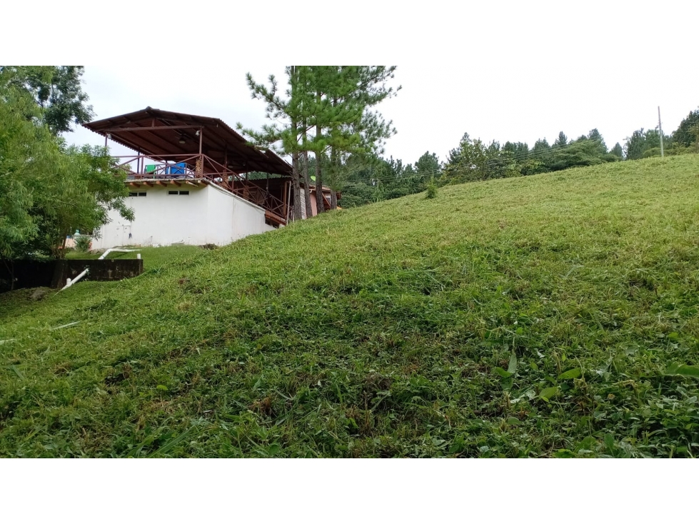 Se Vende Terreno en Altos del Maria — foto 4