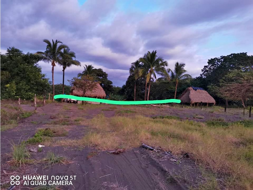 ¡Terreno en Venta a Orilla de Playa en Torio! - 3