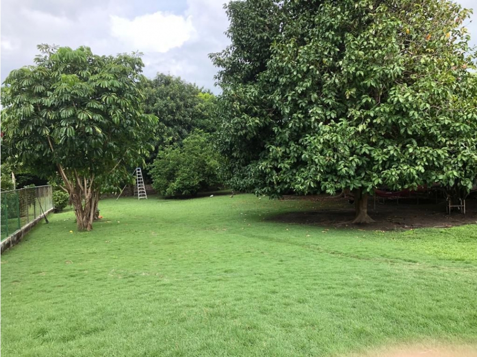Venta de terreno en coronado - 4