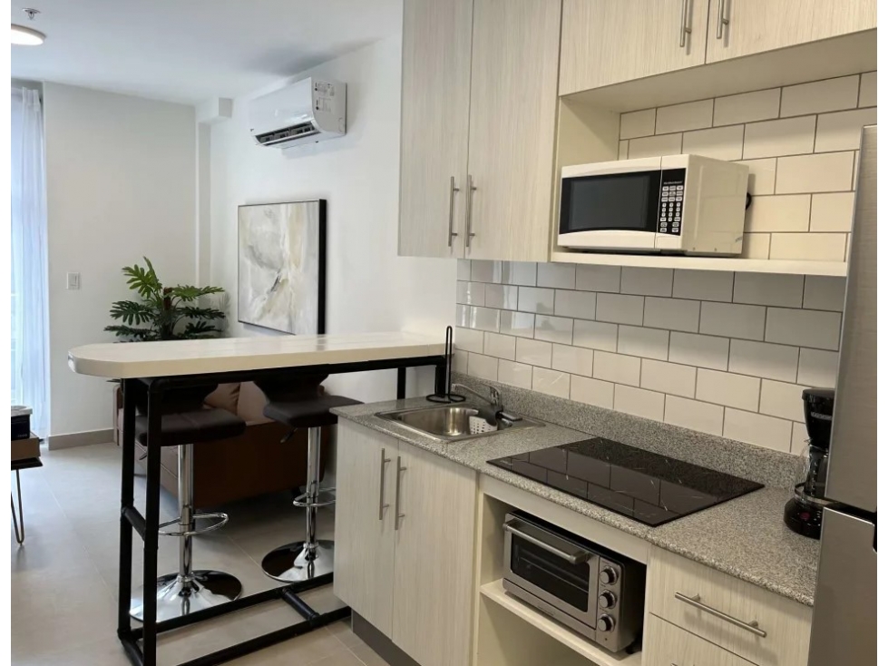ALQUILO APARTAMENTO EN SANTA ANA — foto 4