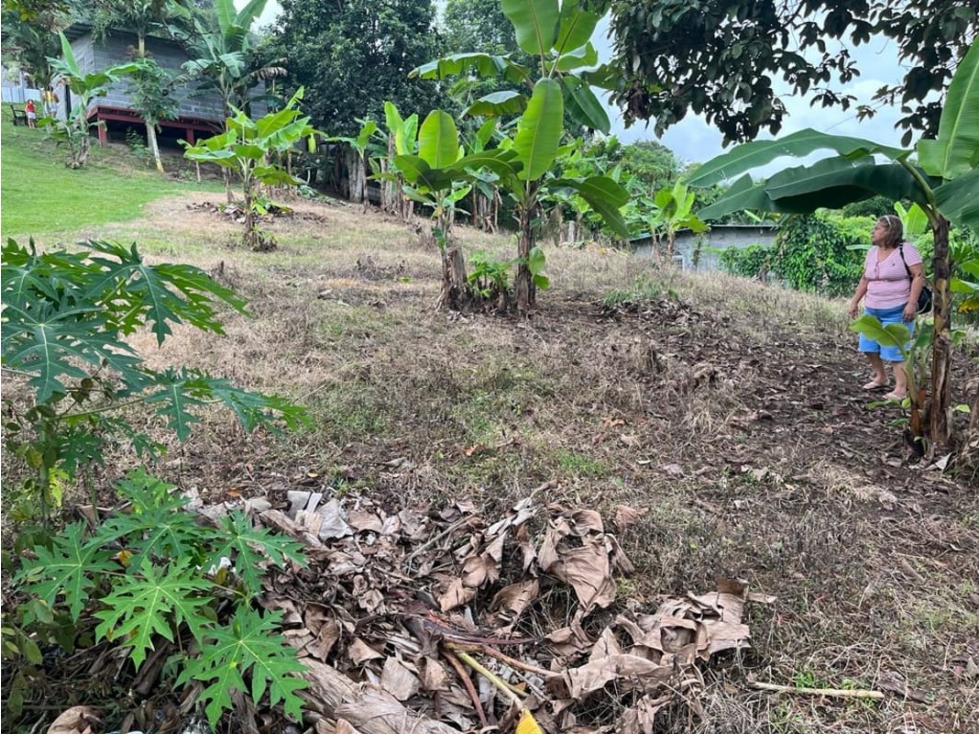 Se Vende Terreno en Cerro Azul - 2