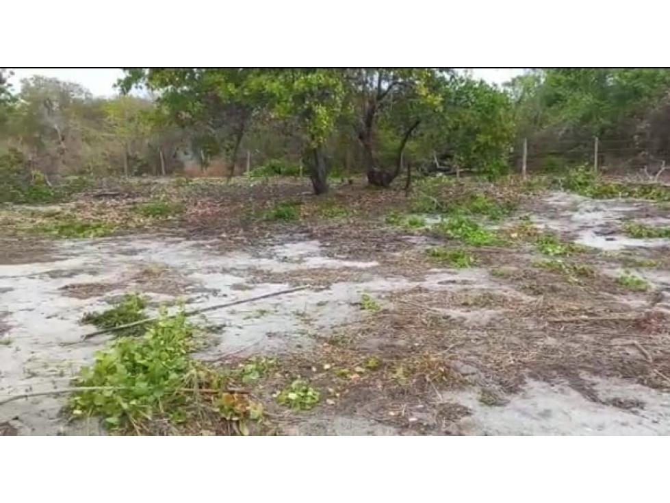 En Venta Terreno Plano de 1,953 m2 en Punta Chame, Panamá Oeste — foto 5