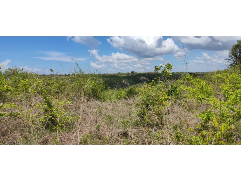 En venta propiedad cerca de la playa de Piedras Gordas, San Carlos — foto 4