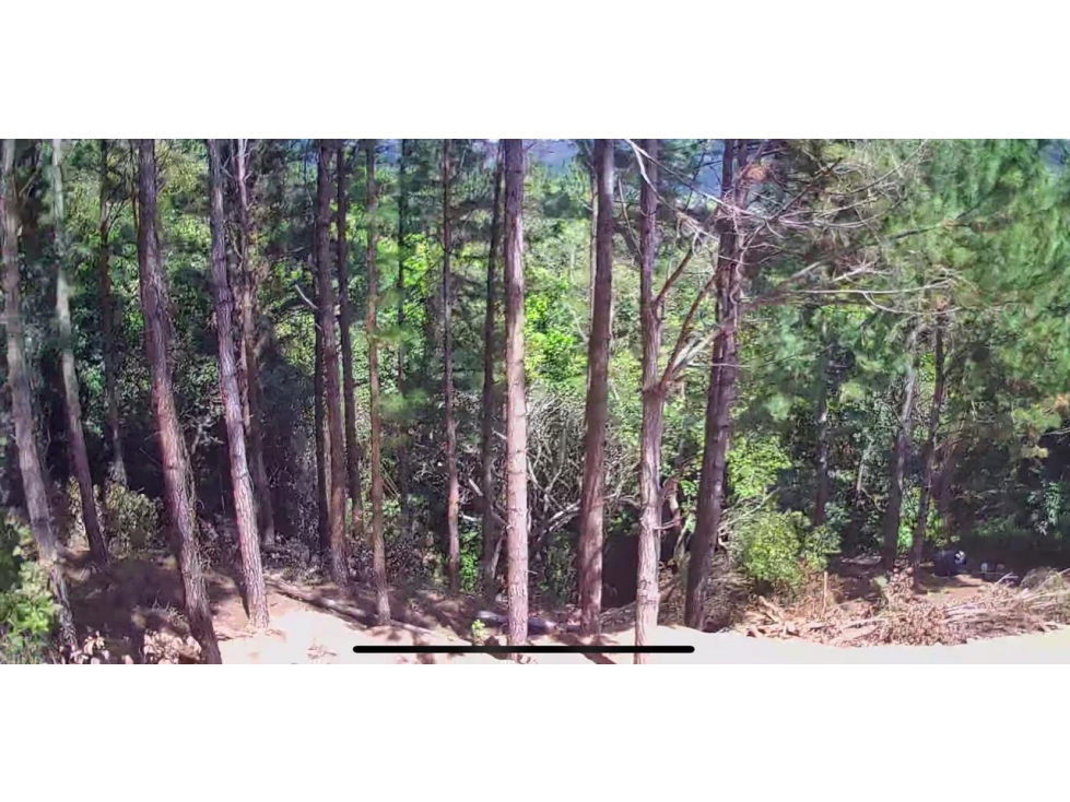 Terreno en venta en Altos del María, Chame — foto 5