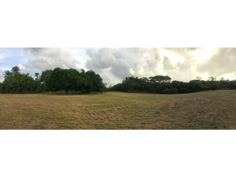 Se vende terreno plano de 27,470 m² en Punta Barco Viejo, San Carlos — foto 4