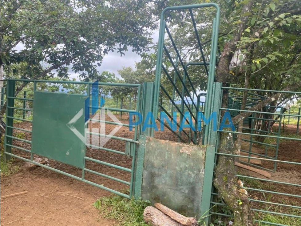 Se Vende Hermosa Finca Ganadera 96 Ha San Lorenzo USD$748,800,00 — foto 6