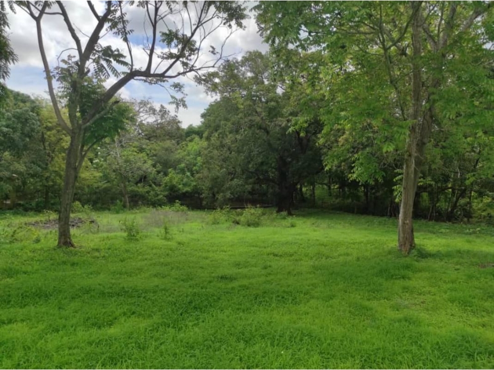 VENDO FINCA CON CASA EN LAS TABLAS $170000 - 5