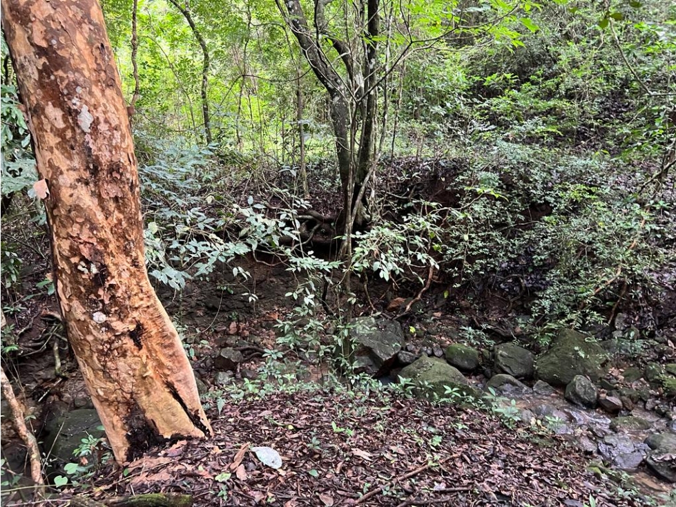Terreno de 30 Hectáreas a la Venta en El Valle de Antón por $1,000,000 - 5