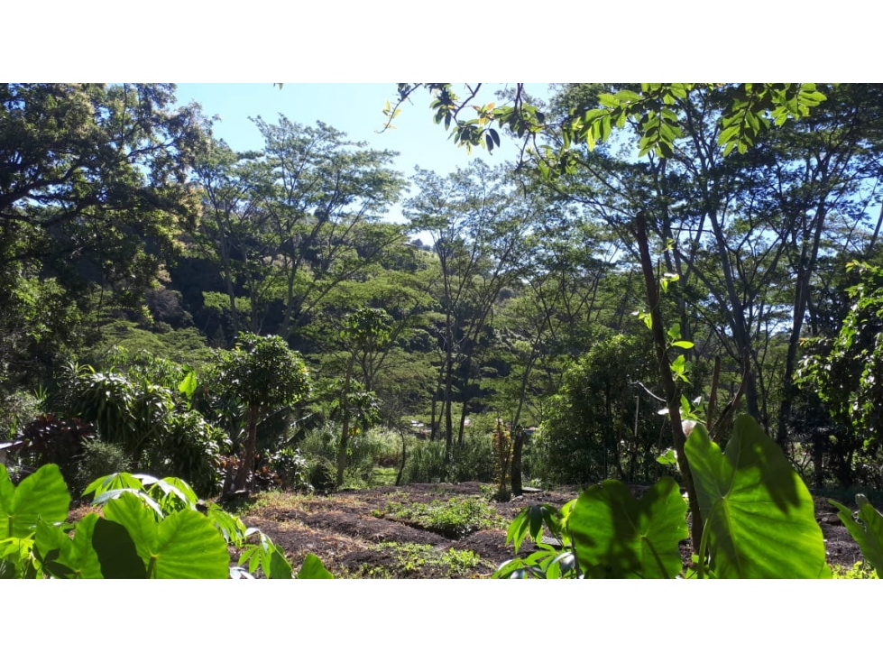 Se vende terreno de 2 hectáreas en bajo boquete $4,000,000 - 5