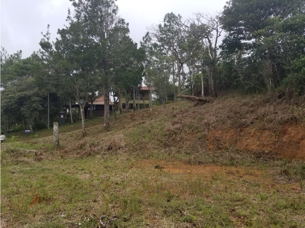 Terreno en Cerro Azul 1298 Mts2 $60,000 - 5