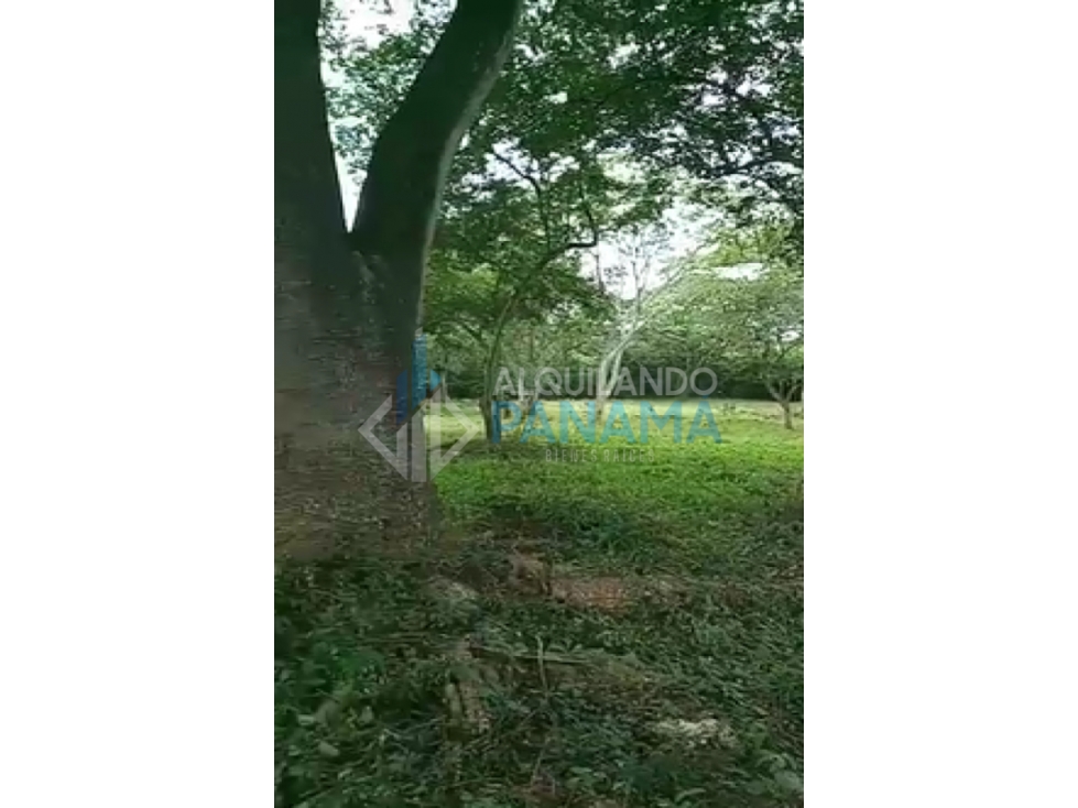 Se Vende Magnifico Terreno 42.000 Mts2 Chitré Herrera $11.000.000.00 - 5