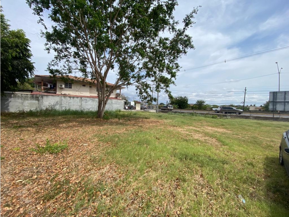 SE VENDE TERRENO EN CHITRÉ >>1,001 mt2 - 5