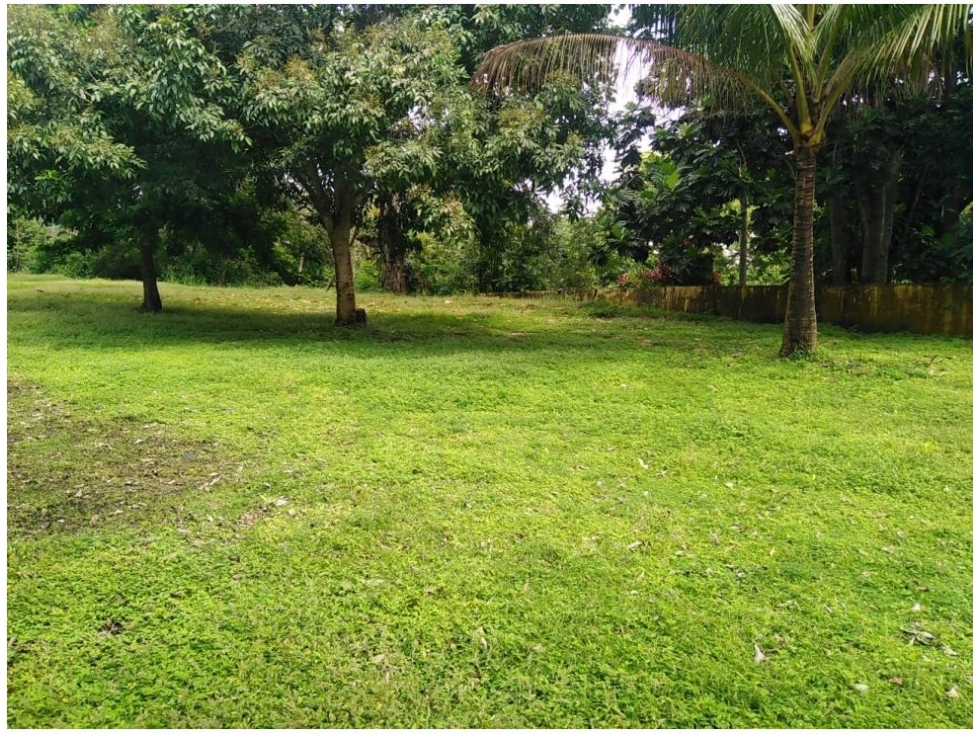 SE VENDE TERRENO EN PUEBLO NUEVO 500 METROS - 2