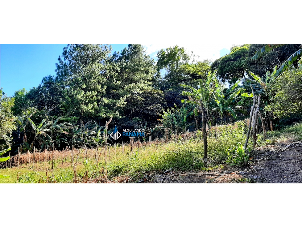 En venta terreno en Palmira |KH - 6