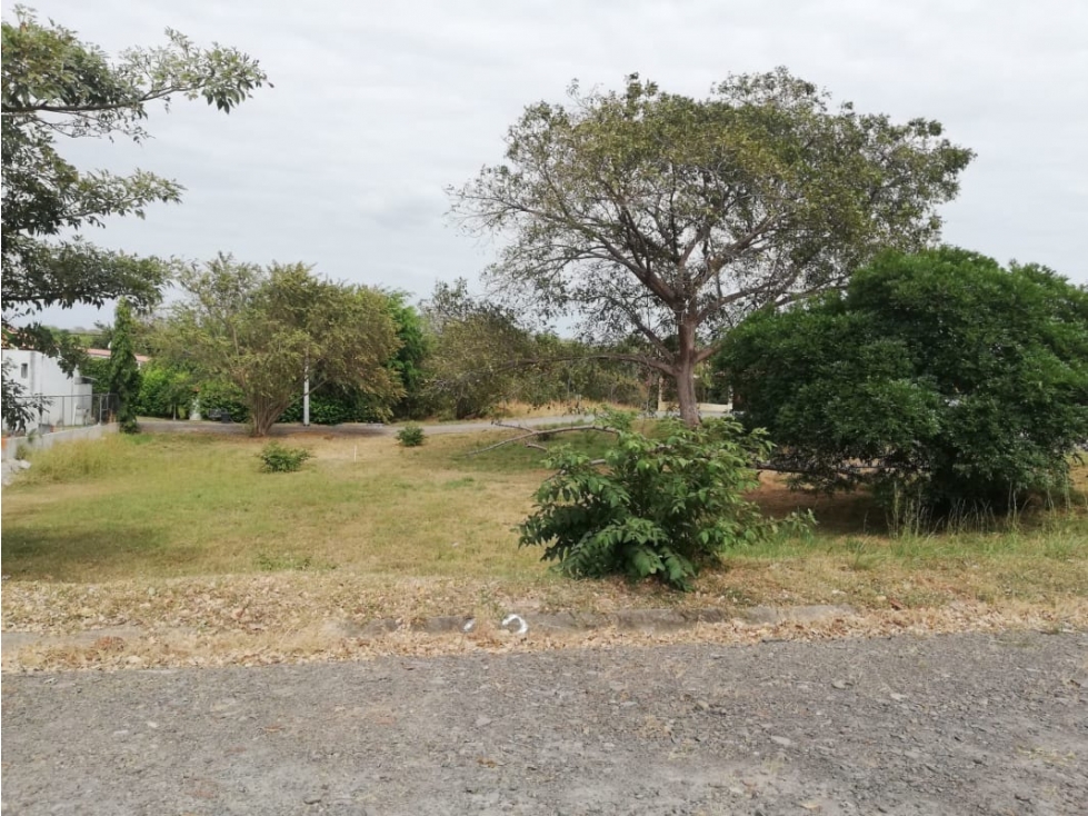 Se Vende Terreno Chame 1.009Mts Frente Gorgona USD$35,000,oo - 5