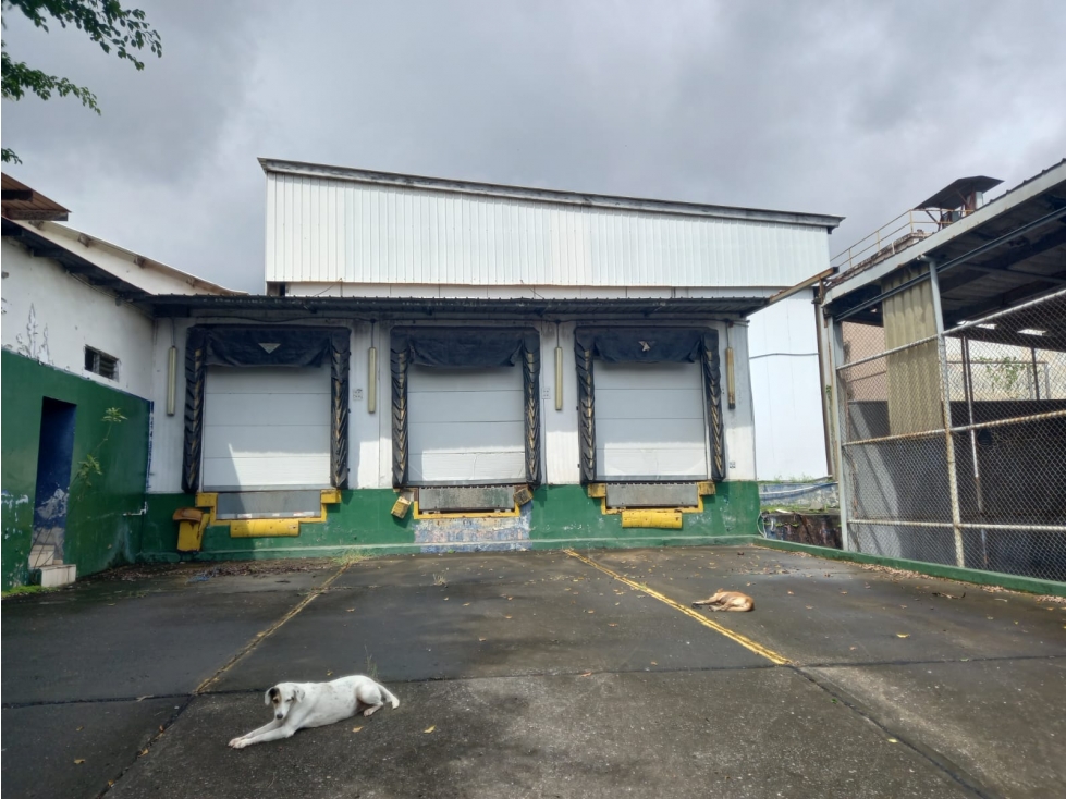 Se Alquila Galera Cuarto Frio 974 Mts USD$8,22xMt2 - 4