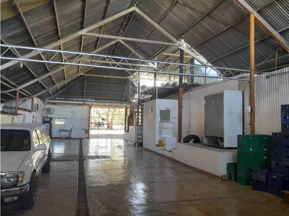 VENTA DE GALERA PARA FABRICA DE HIELO 1,000 MTS - 5