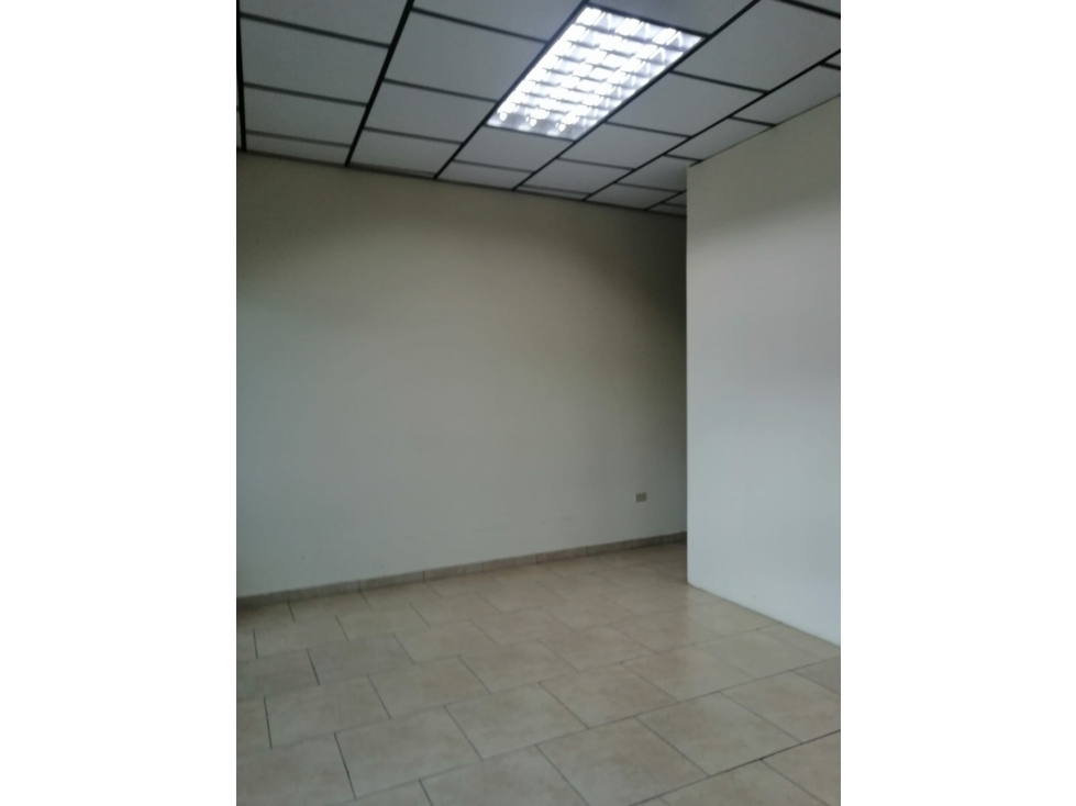 se alquila local en David - 5