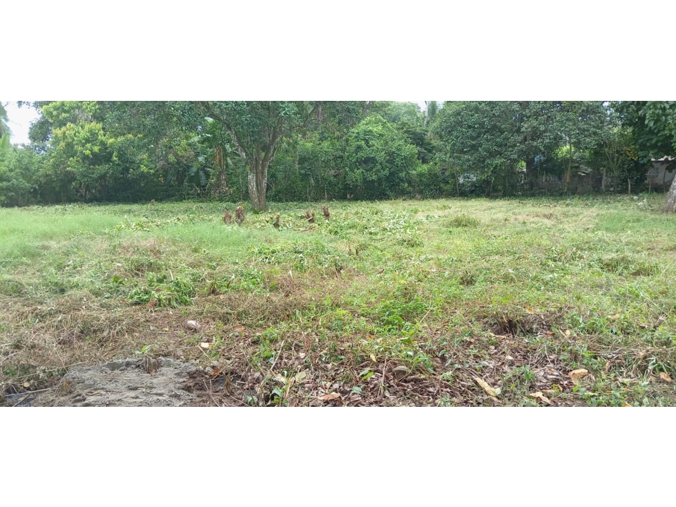 Venta de Terreno en Baru - 5