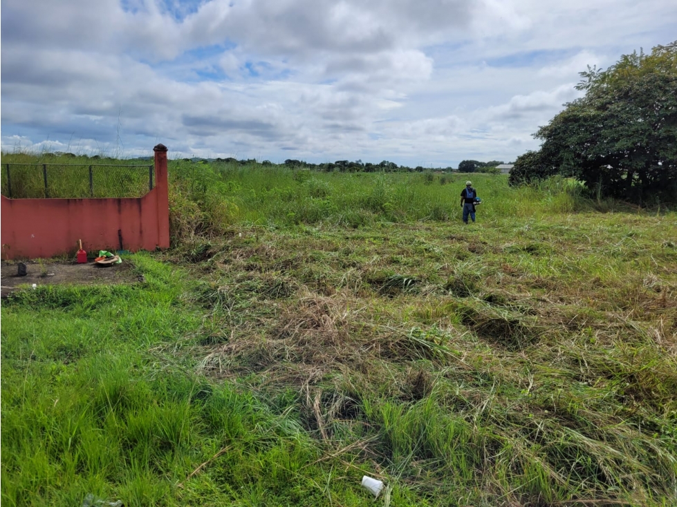 VENDO TERRENO EN COCLE AGUA DULCE CON ZONIFICACION COMERCIAL!! - 5