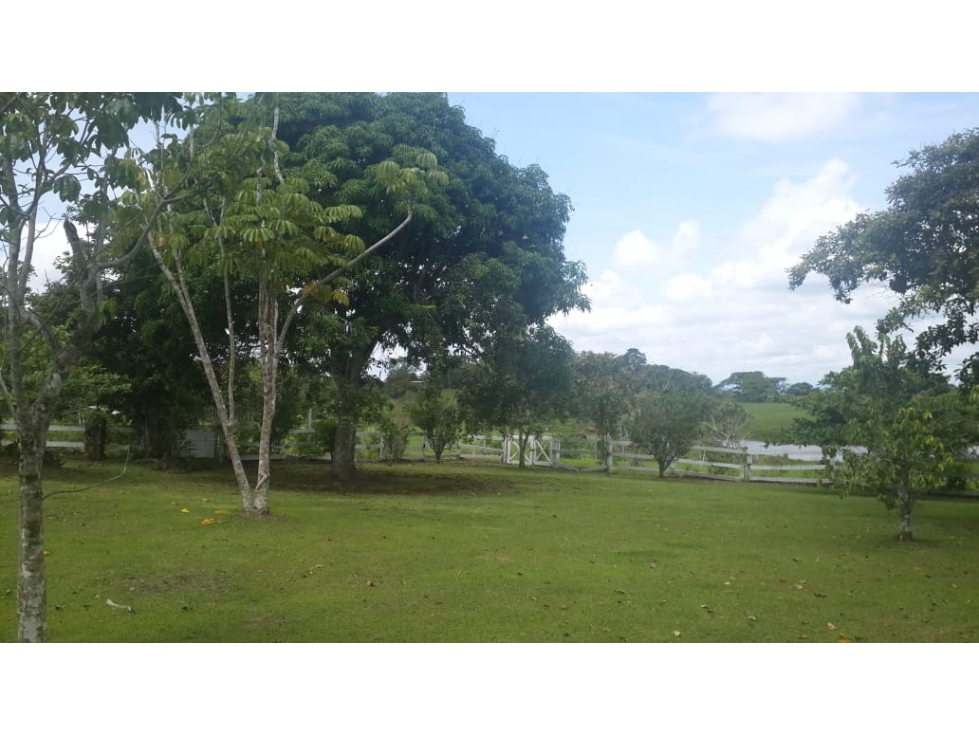 VENDO FINCA DE 18 HECTAREAS EN CERRO CAMA - PANAMA OESTE!!! - 5