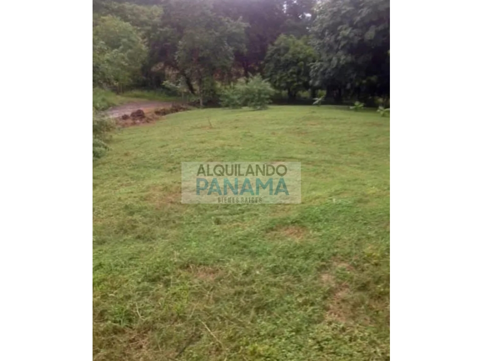 VENTA DE TERRENO EN CHAME — foto 4