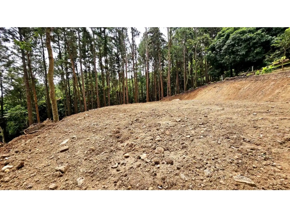 VENDO TERRENO EN ALTOS DEL MARIA - CHAME $77.100!!! - 5