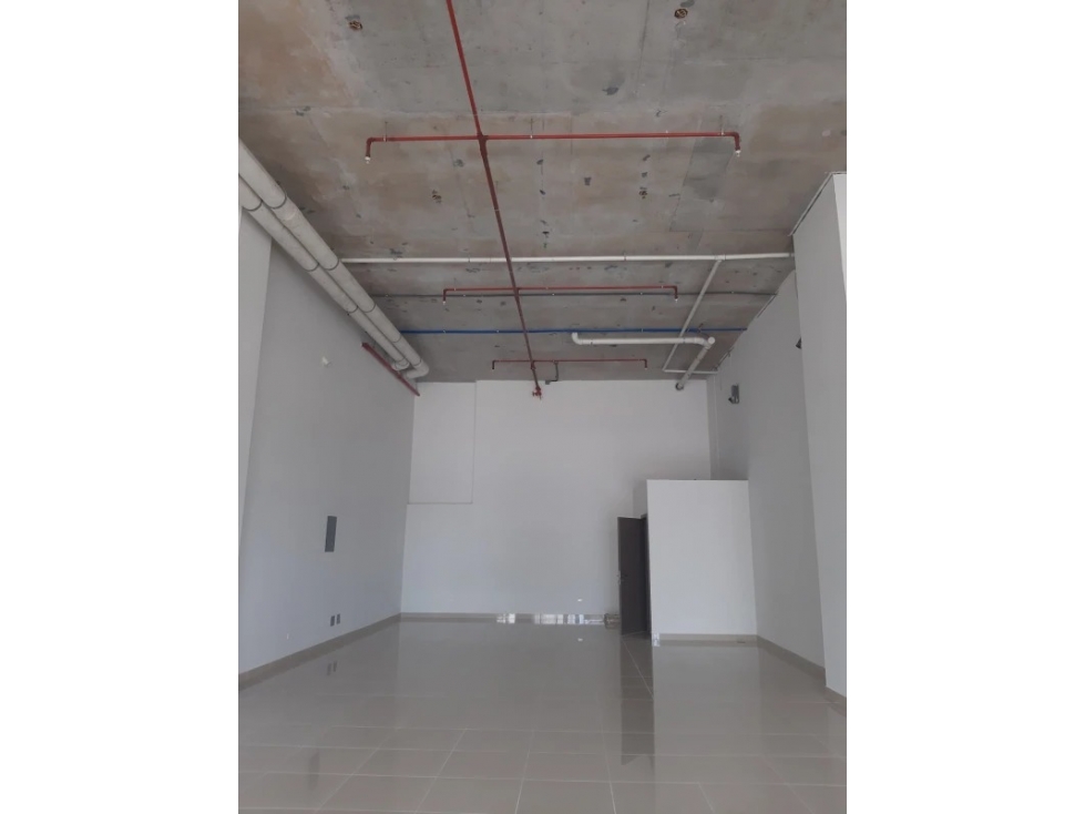 VENDO LOCAL COMERCIAL EN PARQUE LEFEVRE — foto 3