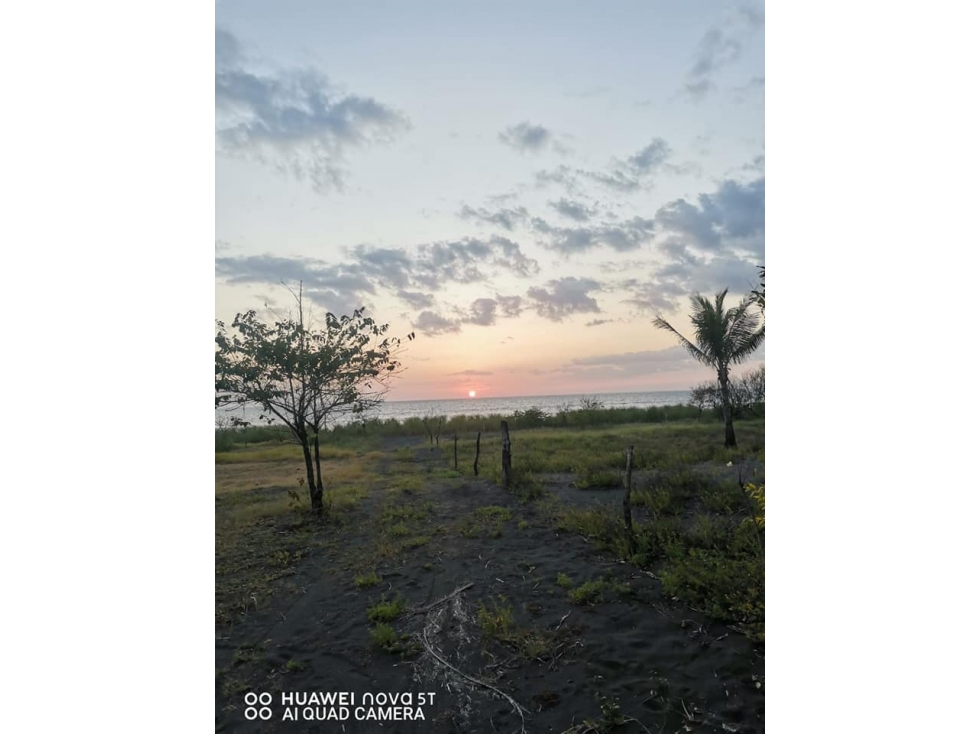 ¡Terreno en Venta a Orilla de Playa en Torio! - 4