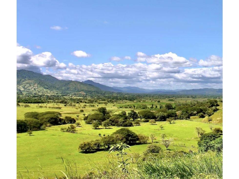 Se vende terreno en Tonosí — foto 5