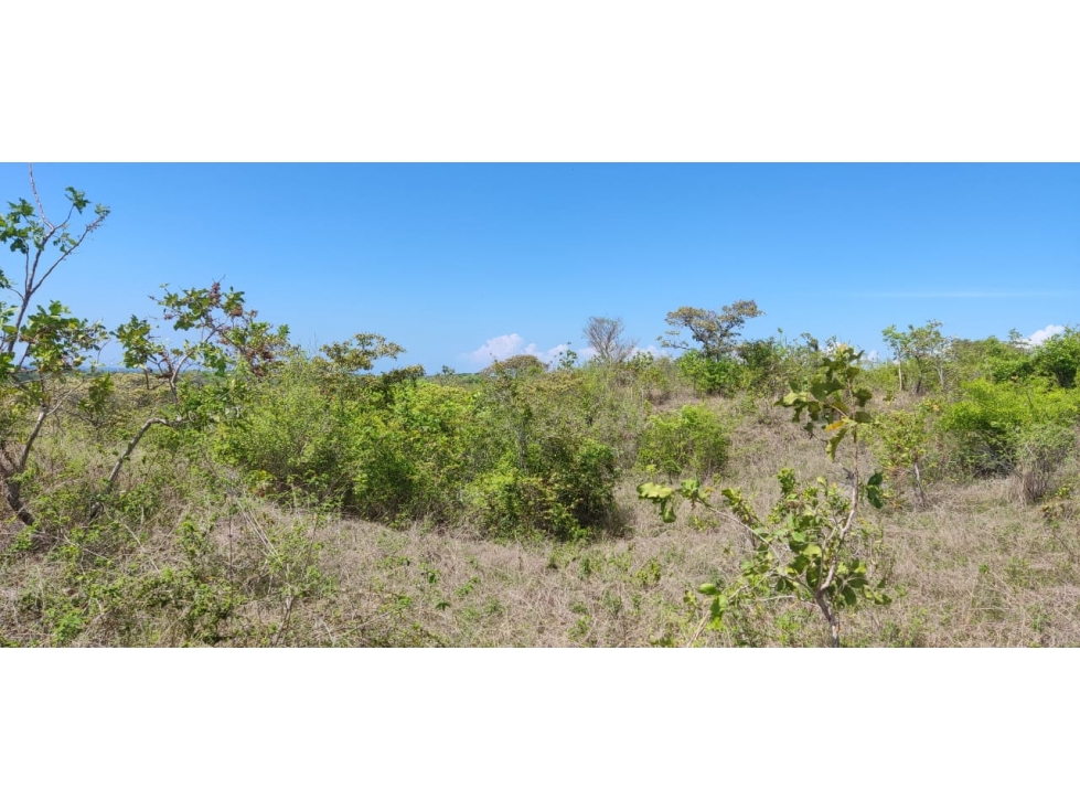 En venta propiedad cerca de la playa de Piedras Gordas, San Carlos — foto 5