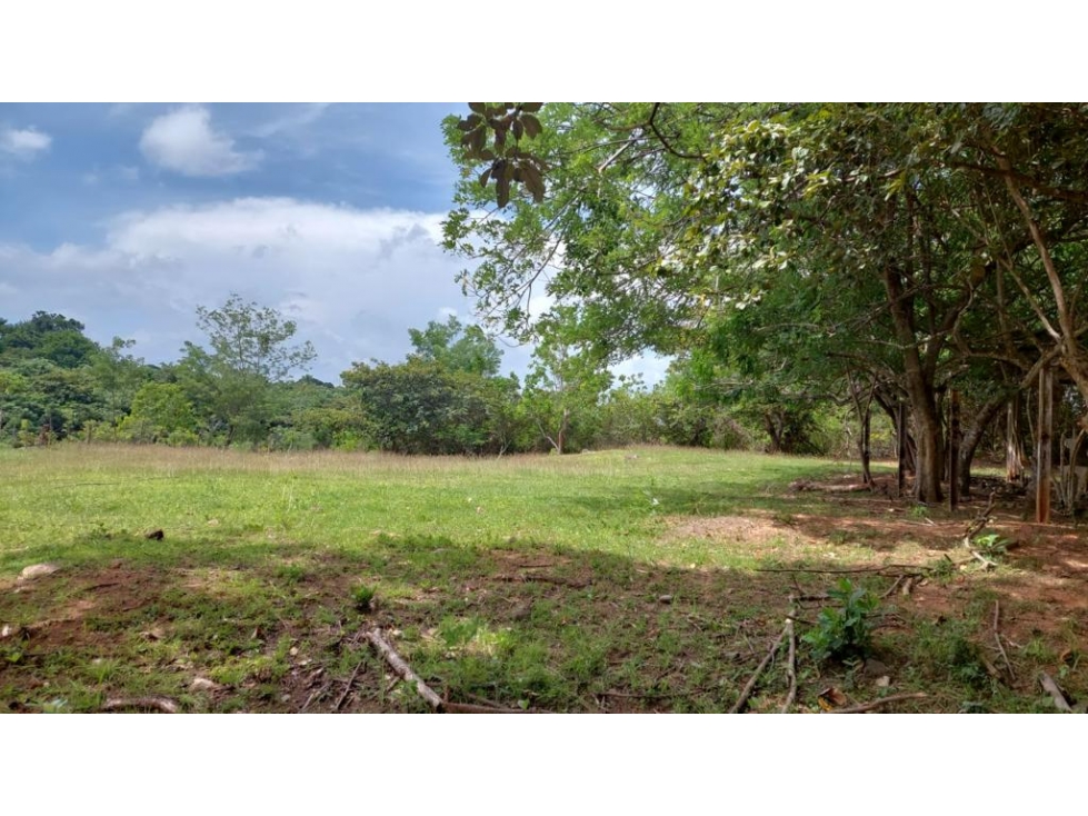 En Venta Finca de 60 Hectáreas en El Espino, San Carlos-Panamá Oeste - 5