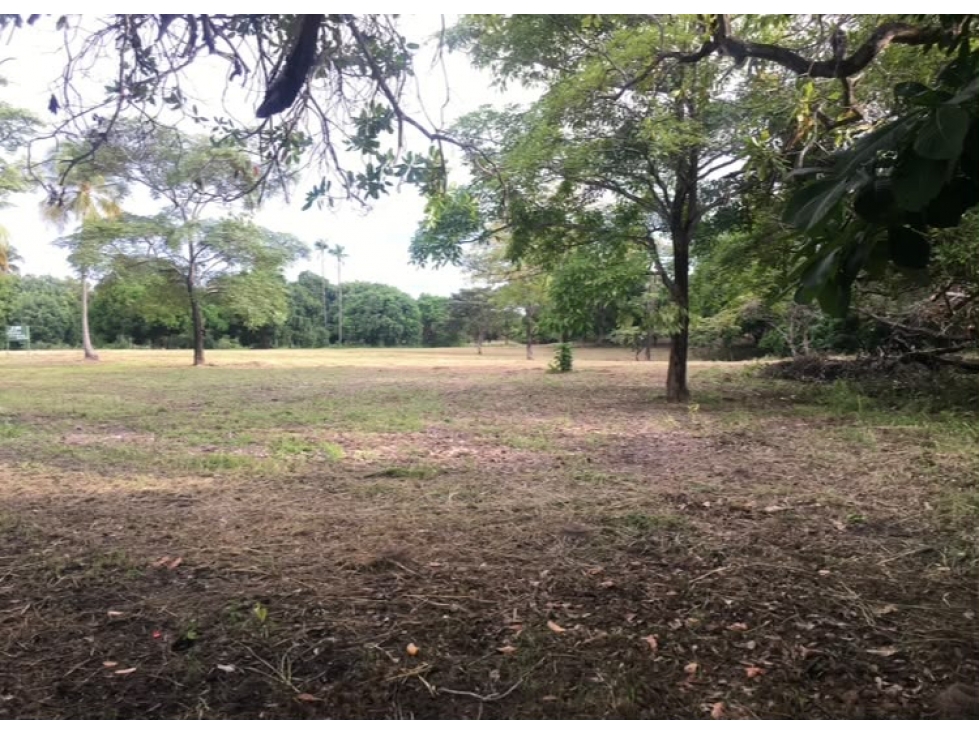 Se vende terreno plano de 27,470 m² en Punta Barco Viejo, San Carlos — foto 6