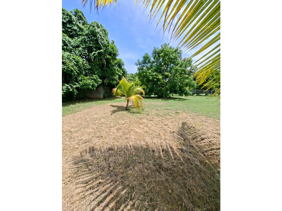 En venta Terreno de 545 m² en Santa Clara, Provincia de Coclé. - 6