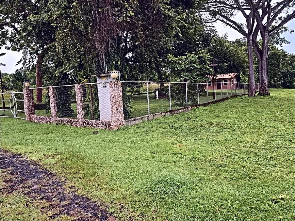 Venta de Terreno Plano en Coloncito-Chame, Panamá Oeste - 5
