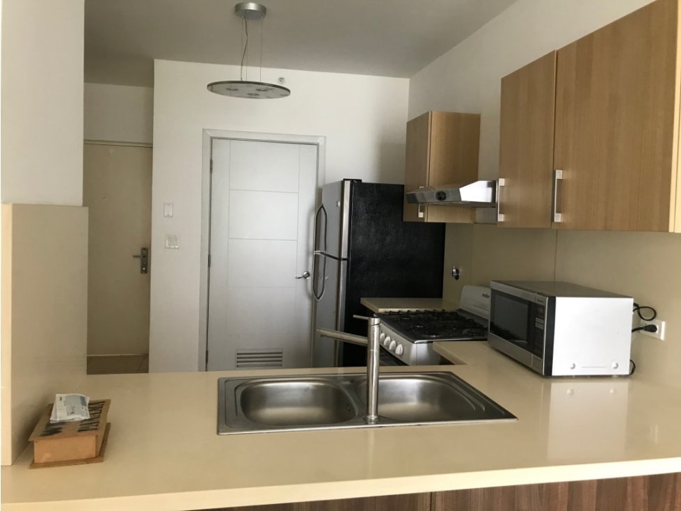 Alquilo Apartamento Punta Pacifica 1300$ Amoblado — foto 2