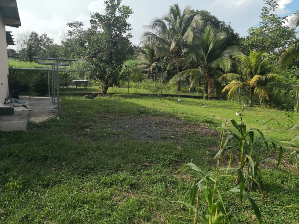Se Venden Locales Comerciales Chorrera 633 mts $75.000.oo - 6