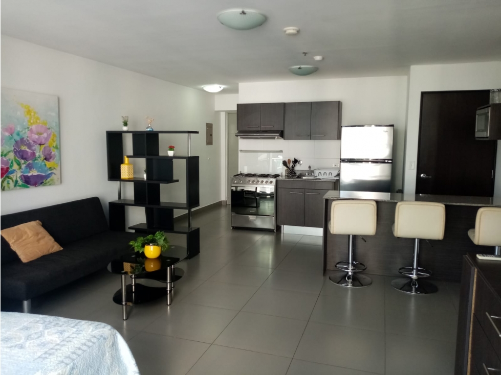 Se alquila aparta-Estudio en Av. Balboa $780