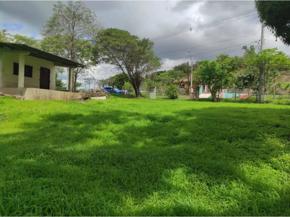 VENDO FINCA CON CASA EN LAS TABLAS $170000 - 6