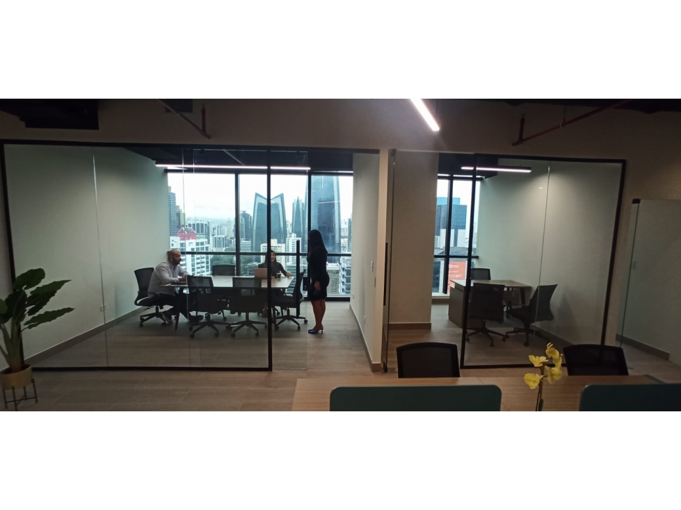 Alquiler de oficinas amobladas calle 50 desde 92 m - 3