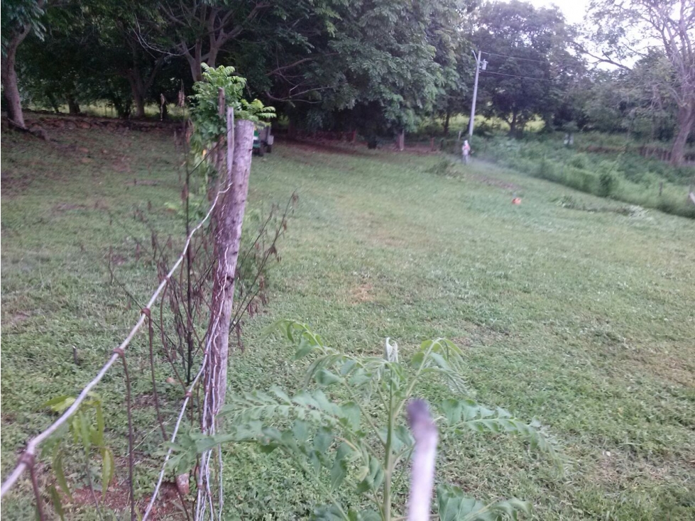 VENDO TERRENO SAJALICES DE CHAME $50.000 NEG. - 6