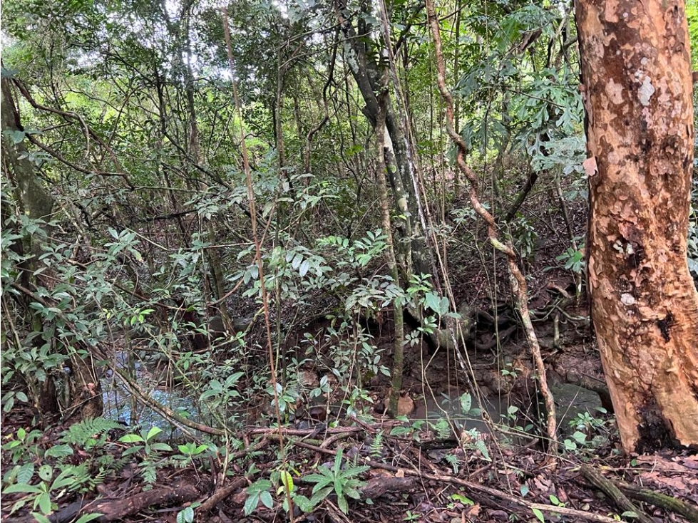 Terreno de 30 Hectáreas a la Venta en El Valle de Antón por $1,000,000 - 6