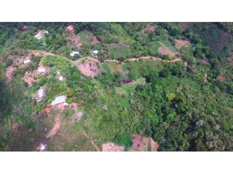 SE VENDE TERRENO en COCLE VALLE ANTON 25 HECTAREAS -I.G. - 5