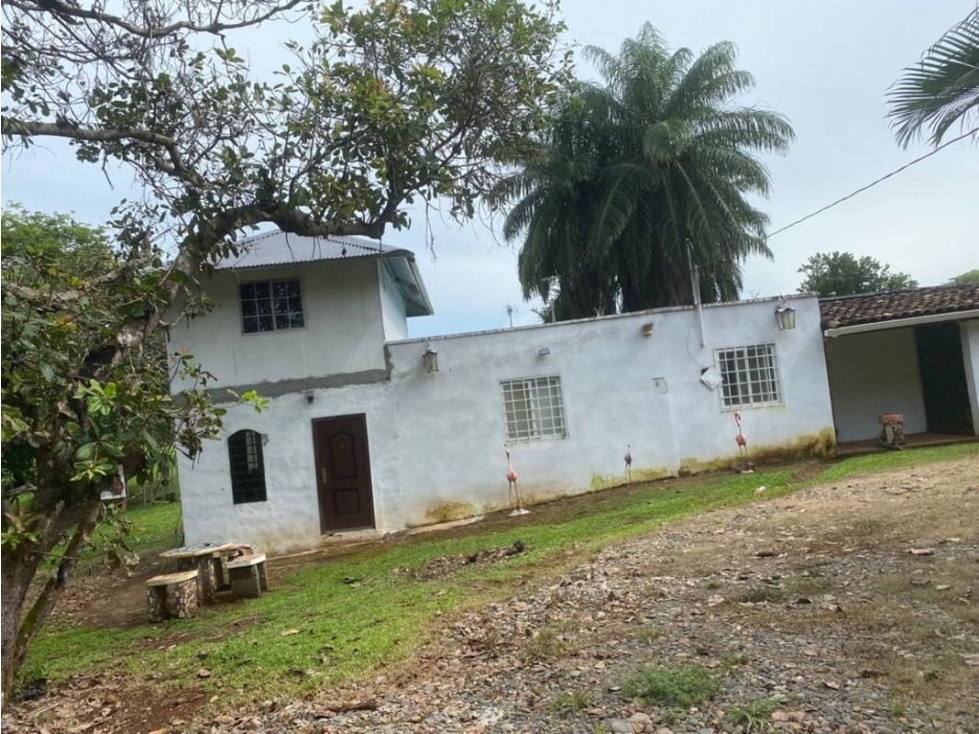Se Vende Finca Ganadera 73 Ha Chiriquí las lajas a USD$10,000,oo Ha - 6